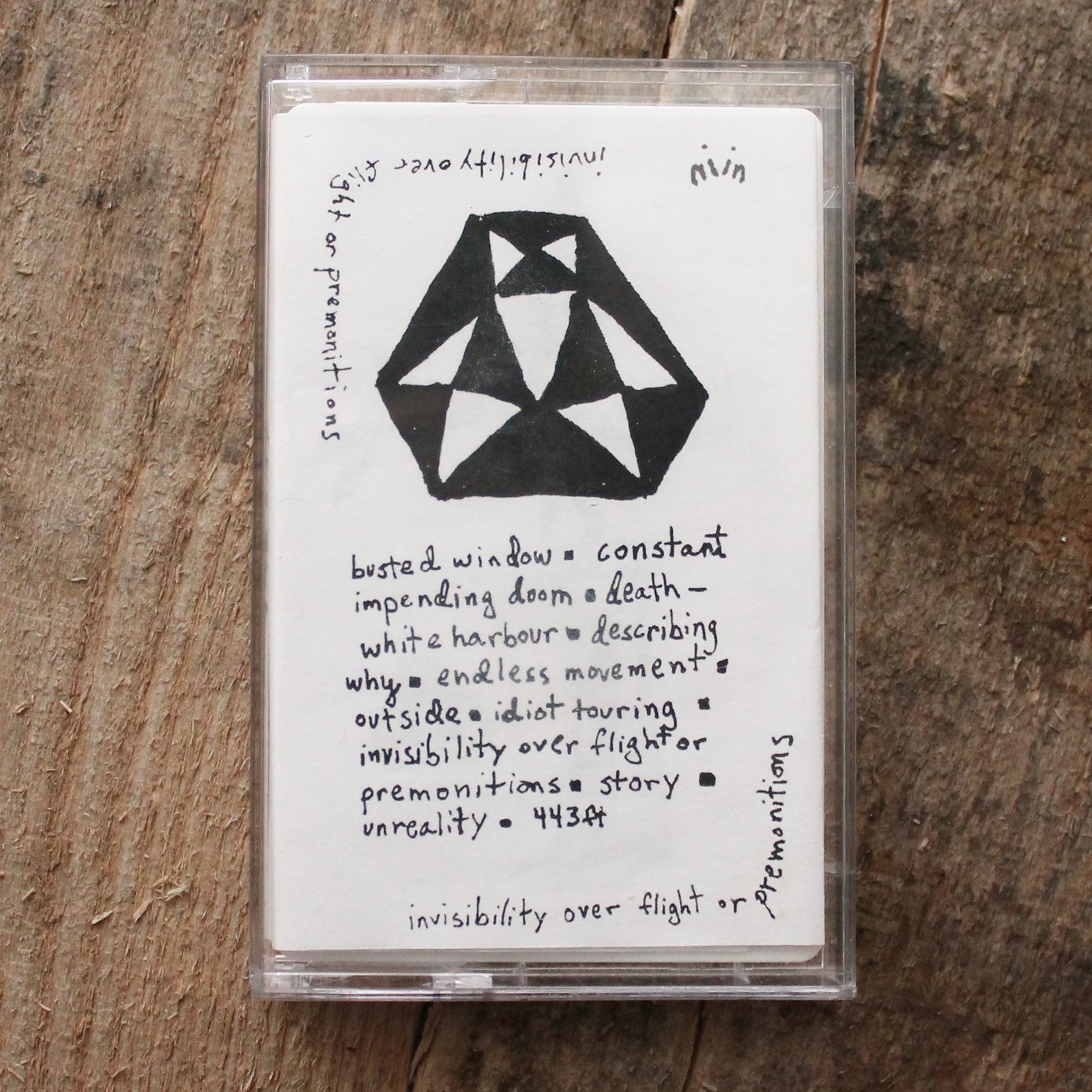 THE DOLPHINS – ‘Invisibility Over Flight or Premonitions’ cassette