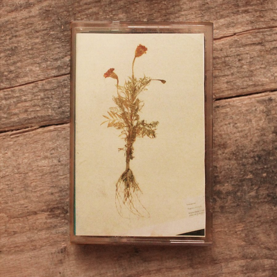 GLASS DOLLS – self-titled cassette